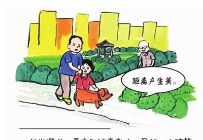 动物医院|严厉打击！我市3部门联合执法