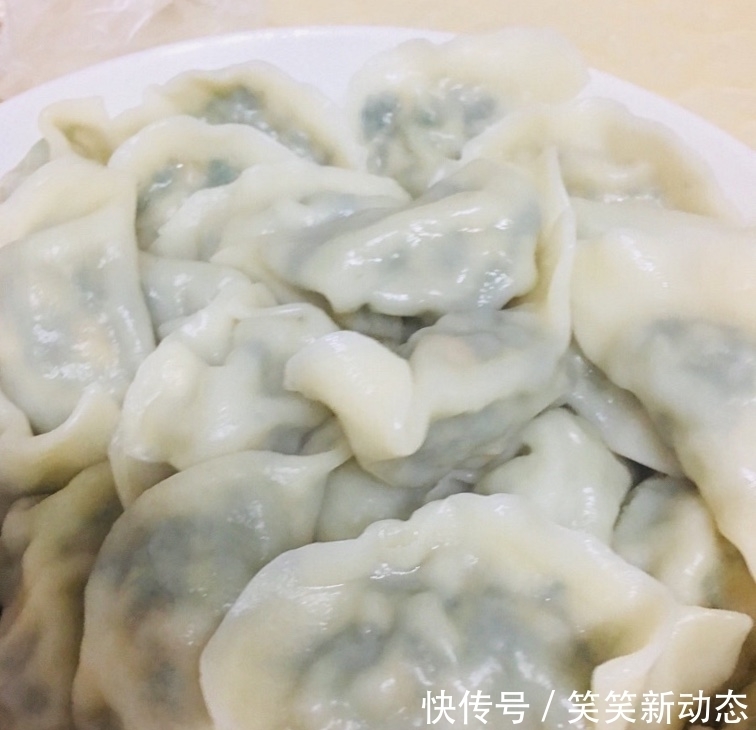  营养|30年头一回用此菜包饺子，鲜美诱人营养，一顿50个饺子嫌不够