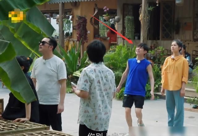  张子枫|谁关注彭昱畅谁在乎爬椰树？你去不去一目了然