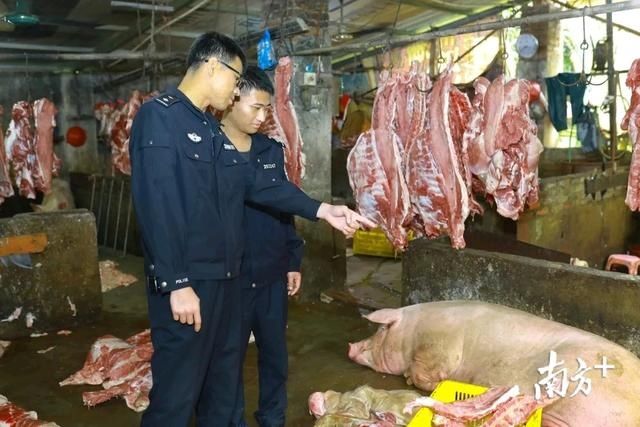 知识产权|破案攻坚！阳江公安“昆仑2020”专项行动抓获94名犯罪嫌疑人