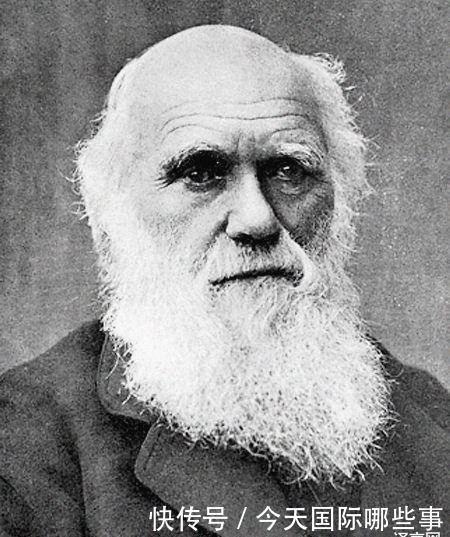 食物|古代国外名人的食物癖好有多怪?爱因斯坦爱吃不加肉酱的意大利面