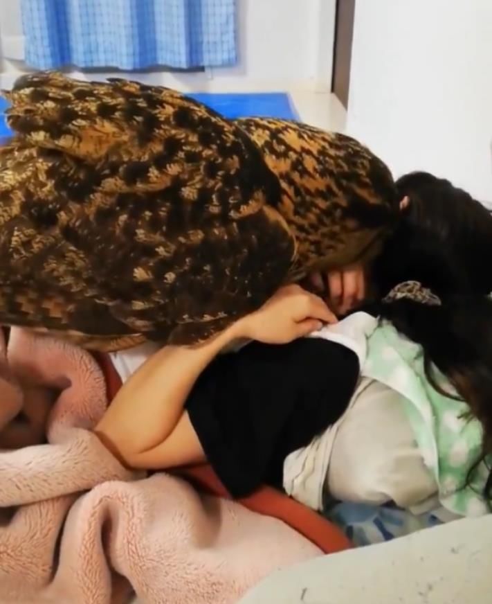 健身|巨型猫头鹰跟女主人甜蜜撒娇，怎么看都像是在举重健身！