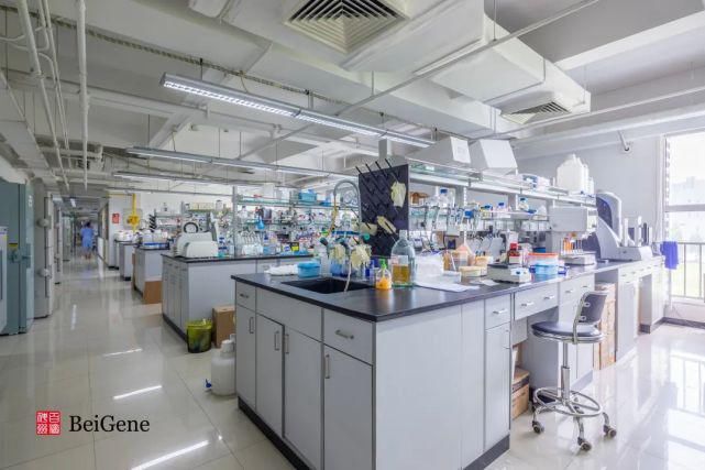  百济|十年磨一剑，百济神州布局创新全生态链