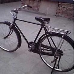 飞鸽|童话 |胡发奎：老飞鸽出行记