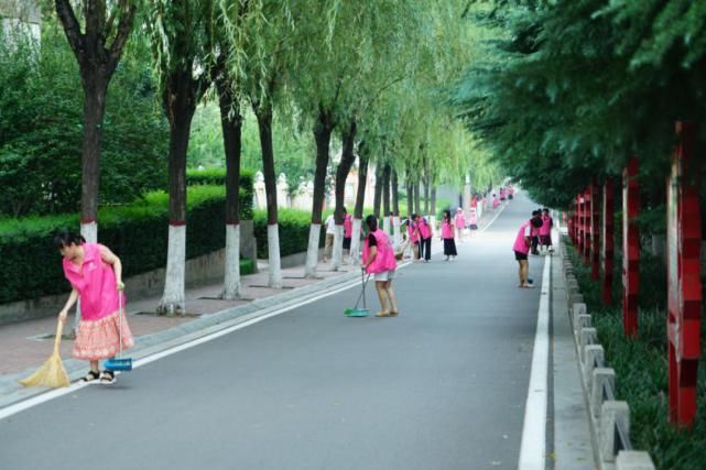  底色|【活动】城市清洁，擦亮新安文明“底色”