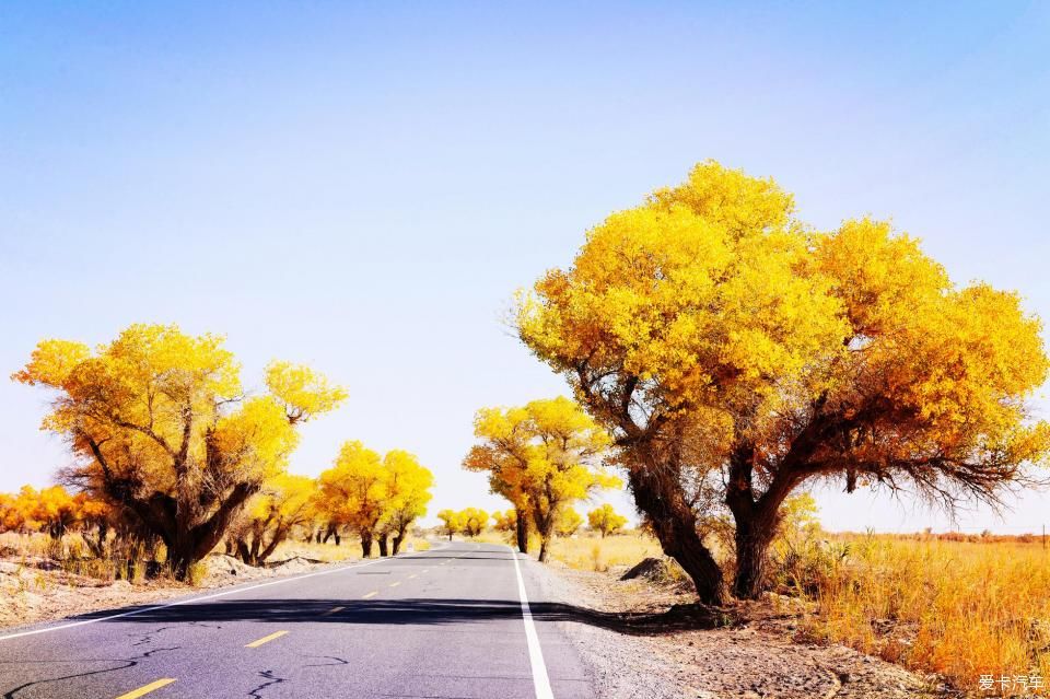 秋色|一路向西，追寻最美的南疆秋色！