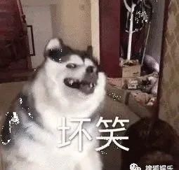  日报|娱乐日报|毛晓彤新恋情曝光？金晨汪汐潮再被拍？孟佳solo倒数第一？