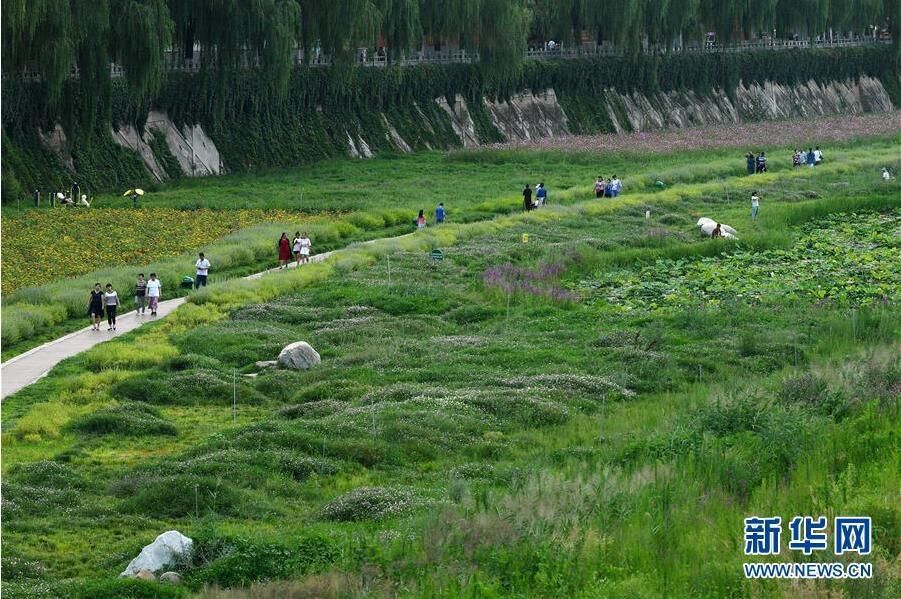 陕西|陕西延安：河道综合治理 建设绿色家园