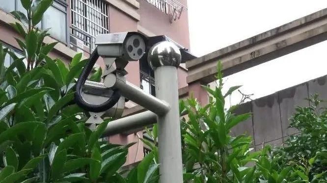  人体|丈夫杀害妻子并分尸，38车粪水内发现人体组织！?抓捕视频曝光