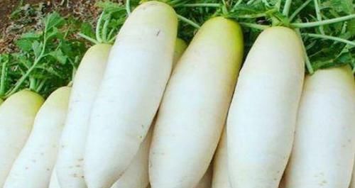 清理|秋天来了，适合常吃的食物，祛皱抗衰，改善体质，清理体内毒素