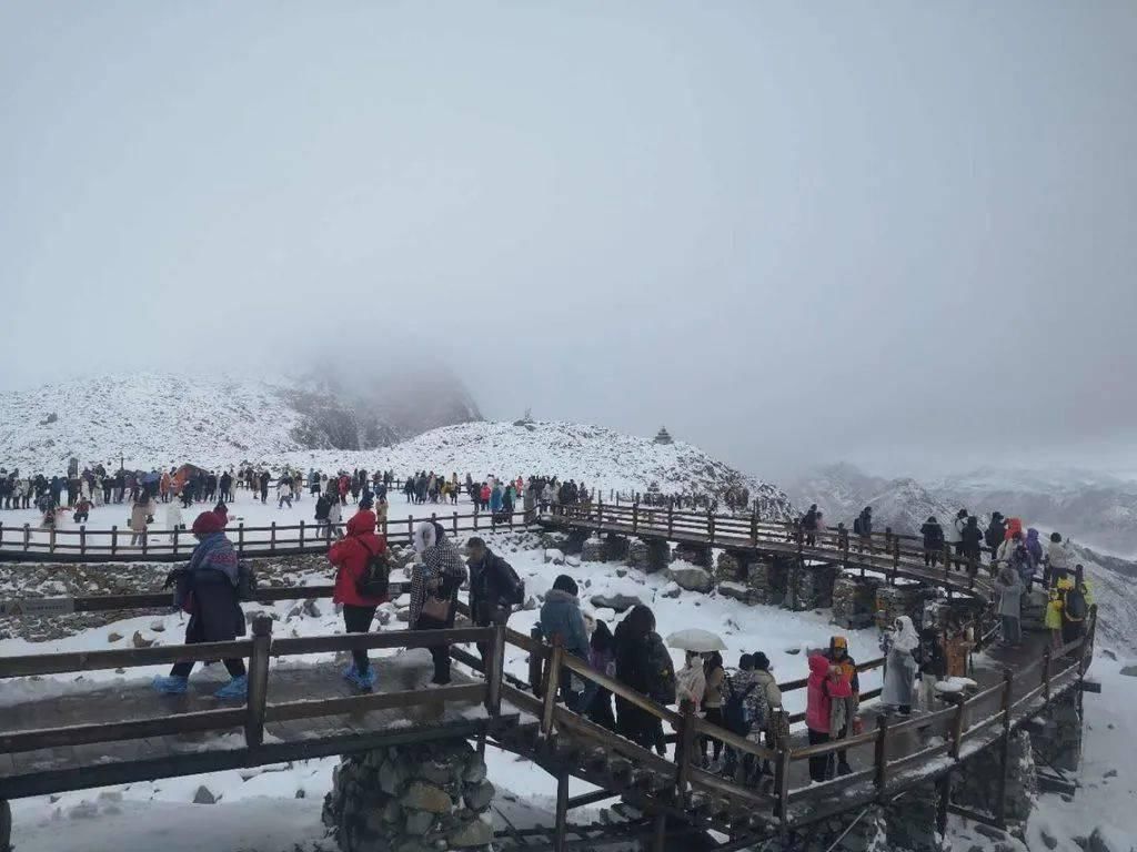 下雪|下雪了！多地解锁雪?景?模?式?广东人：我就看看