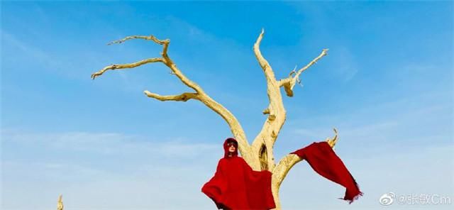 赵敏|“最美赵敏”张敏晒秋日美照，身穿红衣美丽依旧