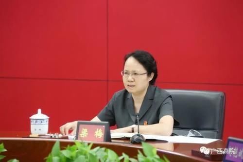 南宁|女法官协会“法官看法院、法官看法官” 座谈会在南宁召开