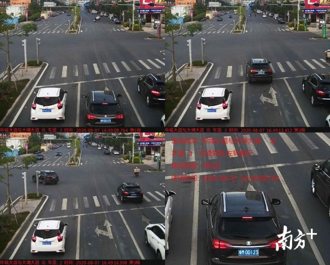 曝光|有你的车吗?梅州大埔交警曝光新一批闯红灯违法行为