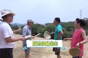 经验|小分队总结出经验，原来中午时候捉鸡最容易！