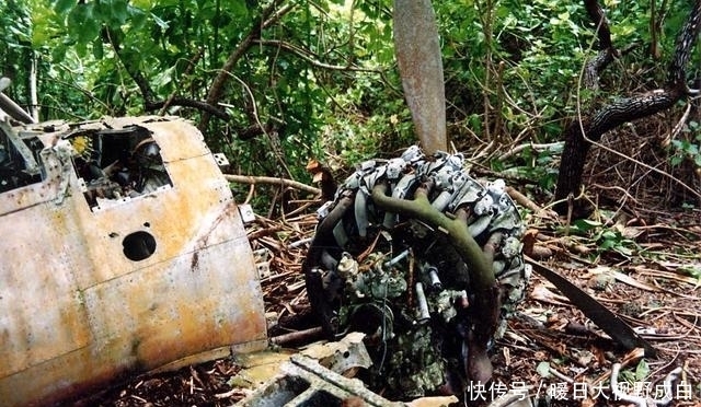 幸存者|山本五十六被击落后，寻找他的士兵陆续失踪，幸存者战后吐露真相