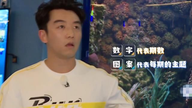  李晨|《奔跑吧》史上最憋屈撕名牌？郑恺迎来高光时刻，剧本痕迹太明显
