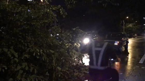  越野车|好紧要！淡水一棵大树凌晨被吹倒，这群开越野车的人去做了这件事....