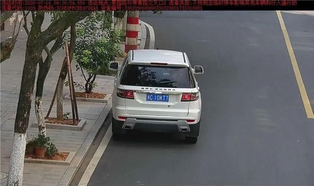 驾驶机动车违反道路|泰顺这些车主被曝光！