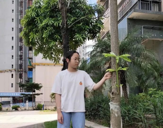 学习|优秀!这位金湾孩子被全市通报点名!一起来认识下