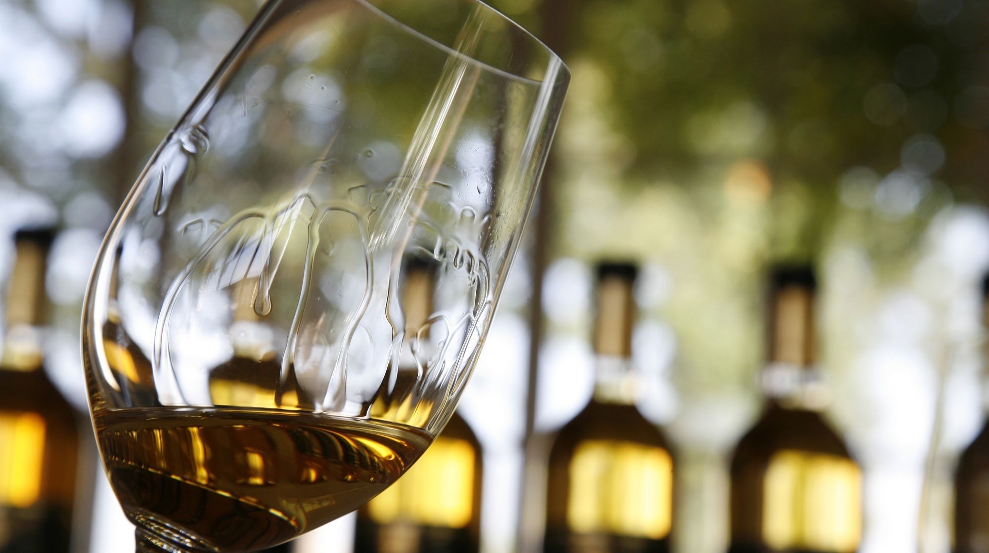 红葡萄|夏天要喝白葡萄酒