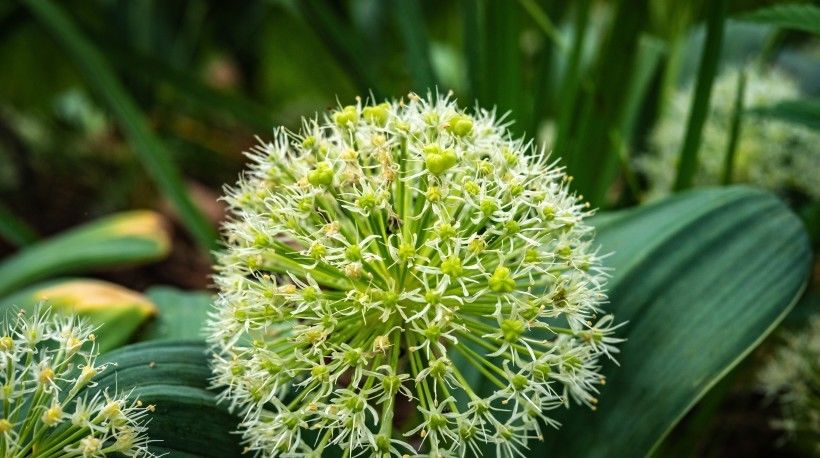  满面|未来30天，爱情将至！4大生肖桃花入命，正缘降临，春光满面