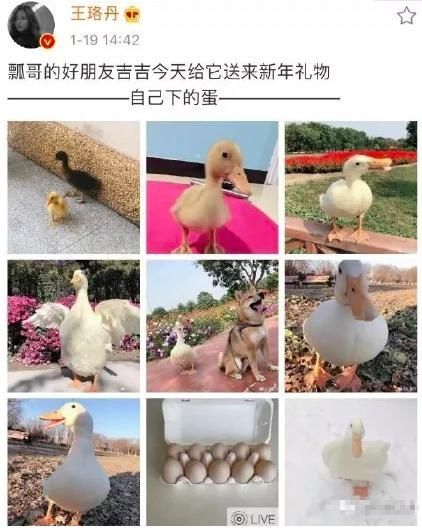  真的|毕竟也红过……她是真的很不甘心吧！