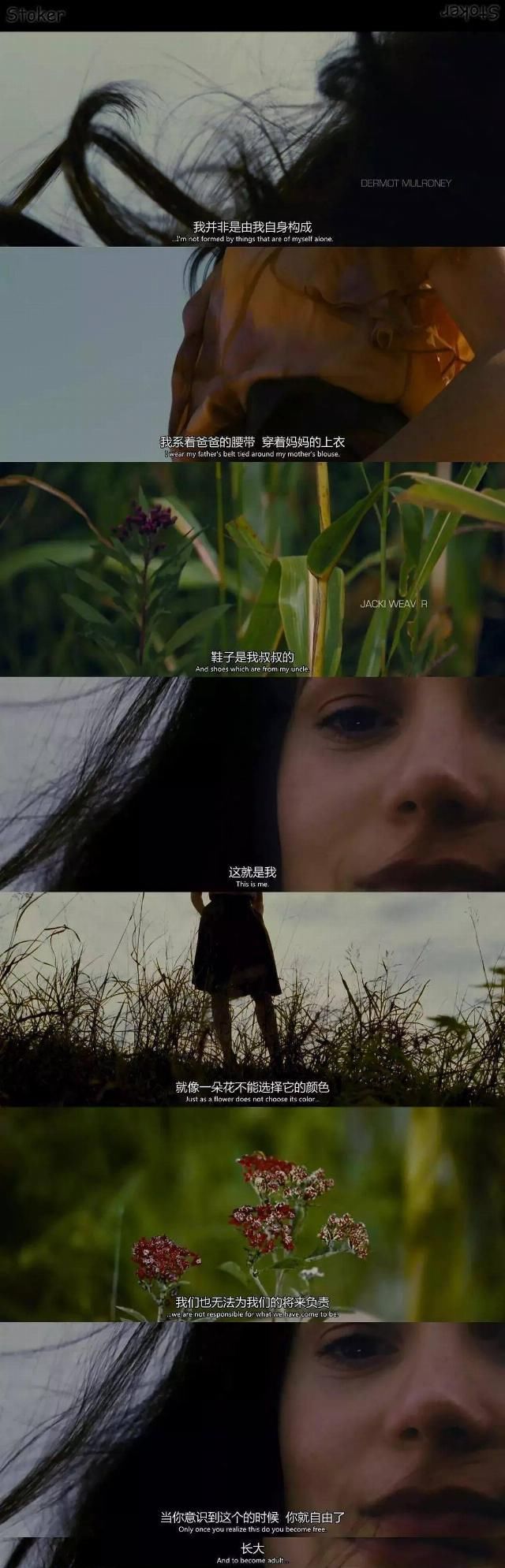  白丝裙|高跟鞋，白丝裙，朴赞郁的暗喻，令人窒息！