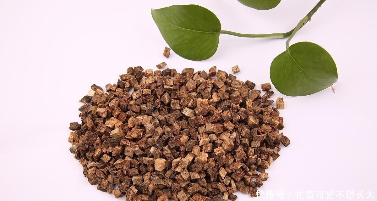 修复|它是天然强肝王，没事多吃，修复肝细胞，肝脏可能会报答你