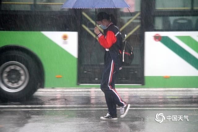 打伞|山东威海遭遇强降雨侵袭 行人打伞出行