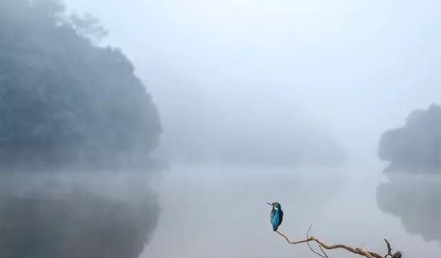  来自|若不是历尽沧桑，哪来的云淡风轻