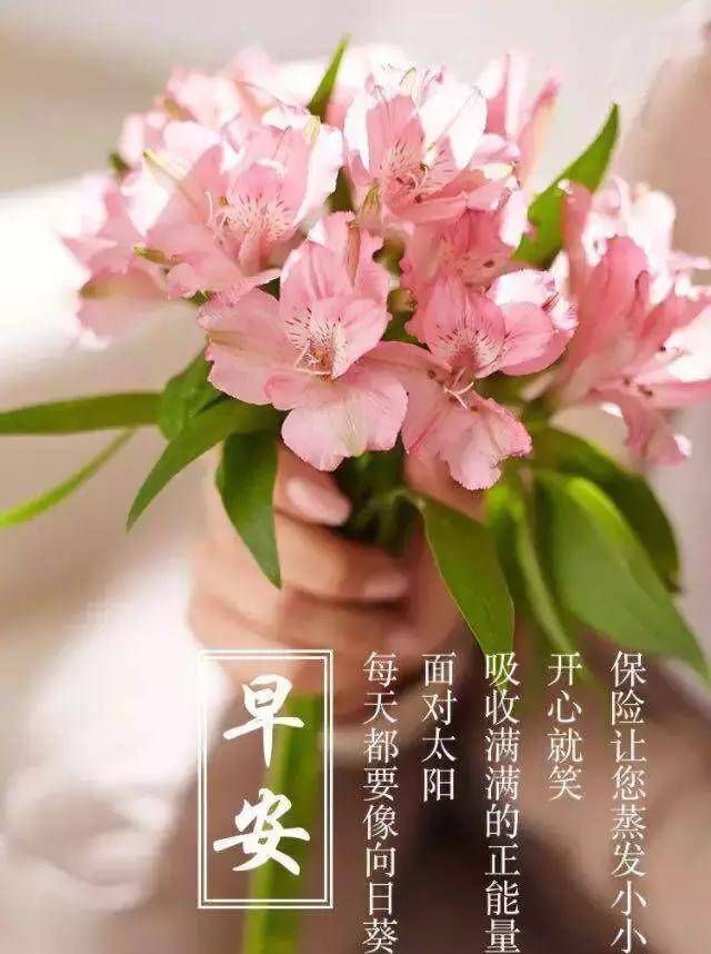 美好|最美好的祝愿不是为了未来，而是为了现在