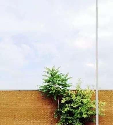  姑娘|90后姑娘吴莫愁被“移出”娱乐圈，时代淘汰一个人从来不会打招呼