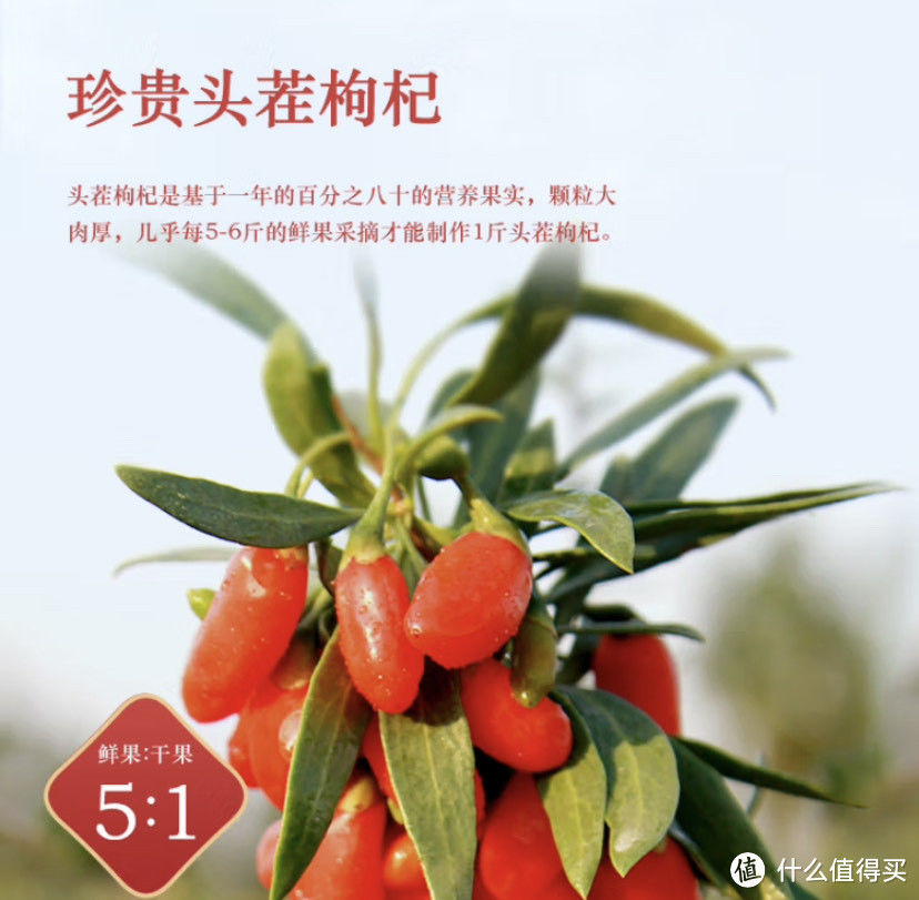 健康养生枸杞是好物，不得不看的枸杞选购攻略2023