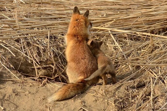  赛级|赛级摄影作品讲述的也不过是不同的生活罢了