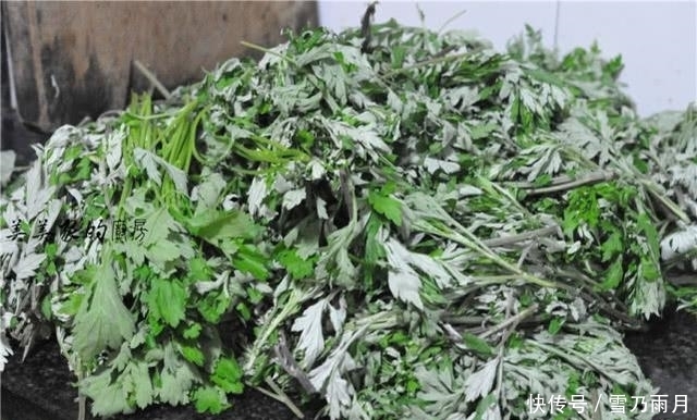 青团|想吃青团不要买啦!教你自己做,香甜软糯不粘牙,比买的还好吃!