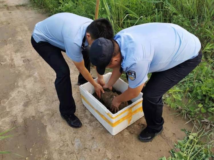  废旧|村民家中发现战争遗留废旧炸弹 高青警方收缴除隐患