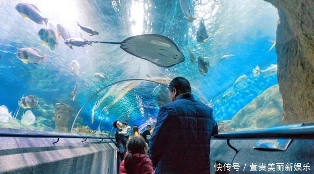 看过|看过太多的海,仍为这座“北方明珠”着迷