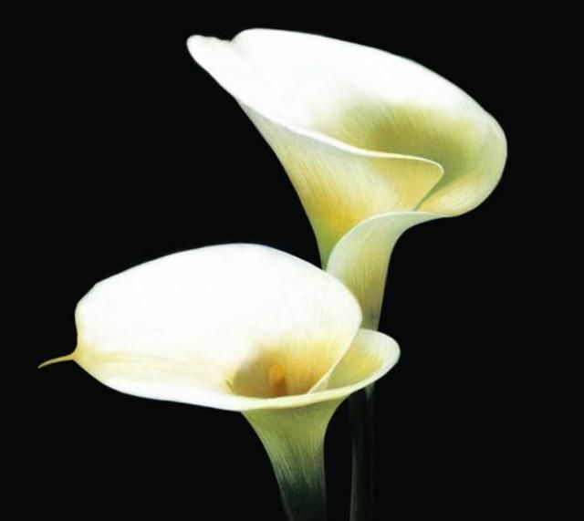  喝茶|“过得好坏，一看就知”：日子过得好的人，喜欢做四件不起眼的事