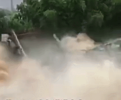 大哭|公交司机蓄意报复、痛失9000万男子大哭:总有一种爱温暖你