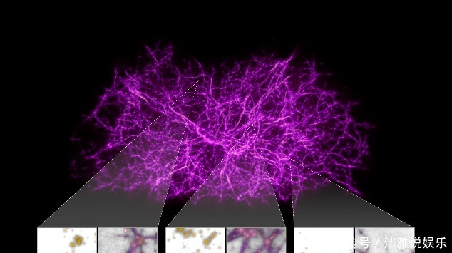 暗物质晕|科学家在虚拟宇宙中探测暗物质