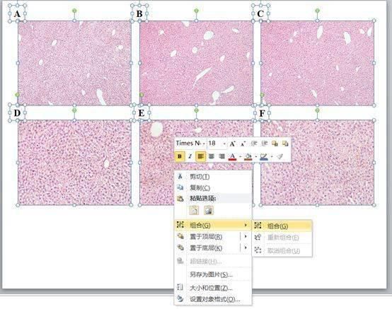  图片|科研日常中，有用的拼图软件