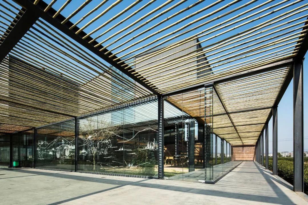 乡村|走进松阳，感受散落在乡村的“时光琥珀”