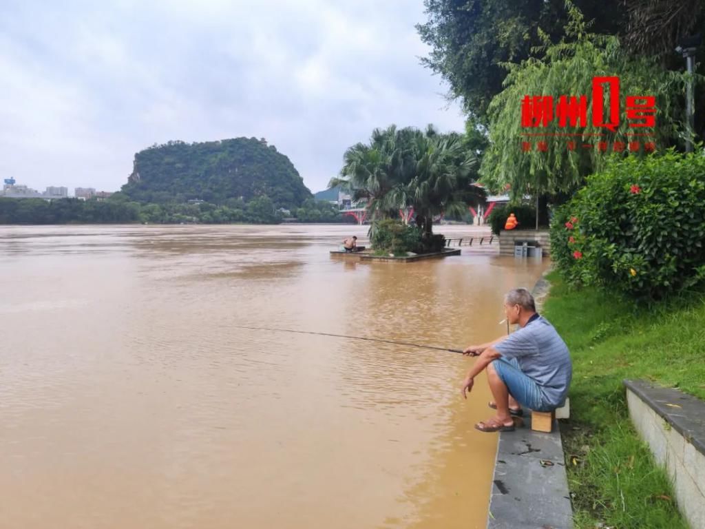  洪水|柳州这些县份遭遇洪水，滴滴打船出动！河水漫上金沙角亲水平台……
