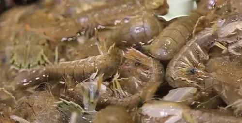 海鲜|吃遍大连-开海啦!!各种肥美的海鲜任您挑选,让你一次过足嘴瘾~