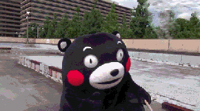  掉头|所有人：遇见交警就掉头，不是酒驾，就是心里有鬼