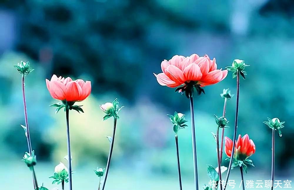 冷暖|你知我冷暖,我伴你一生