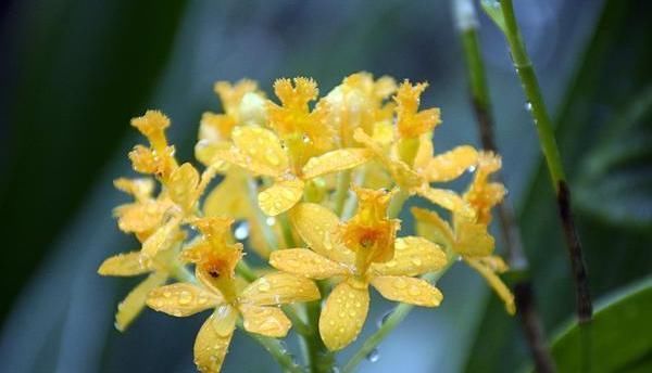 越早|人生在世,这两件事越早做越好,不然后悔莫及!