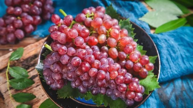  没吃到|狐狸没吃到的那颗葡萄，串起了几个世纪的夏天