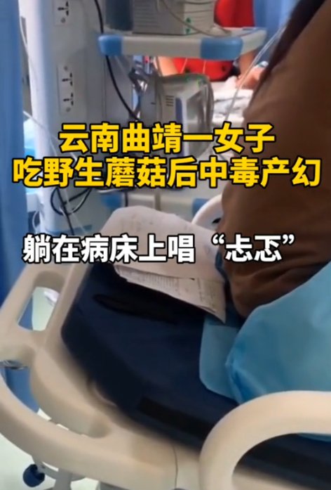  中毒|不要作！为看诡异的“小精灵跳舞”，不少人乱吃它后中毒！